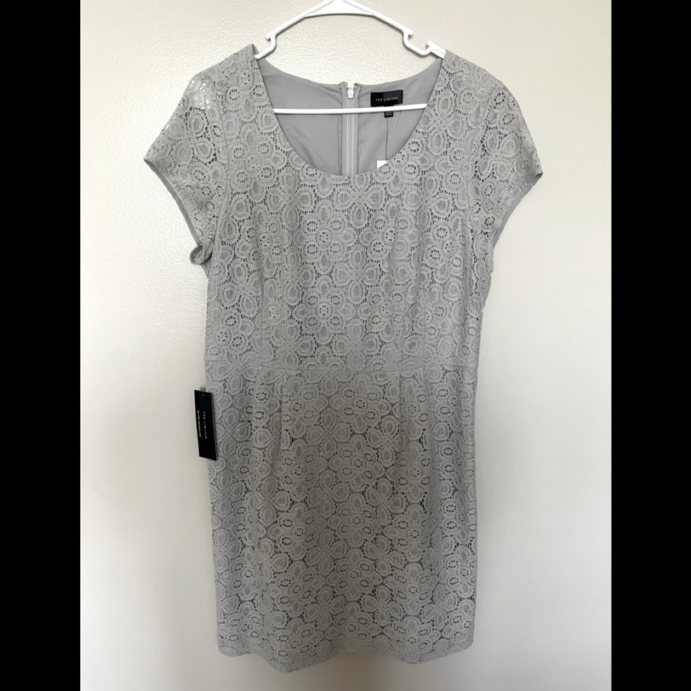 NWT Eyelet Cap Sleeve Dress (12)